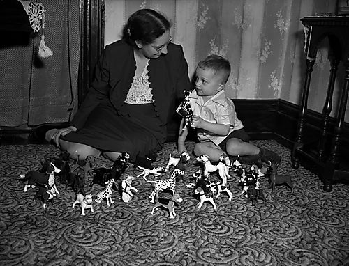 A Boy and His Dog Collection