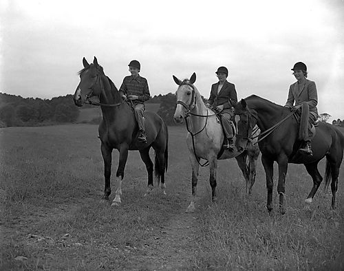 Riding Horses