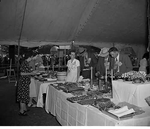 Pitt Alumni Festival
