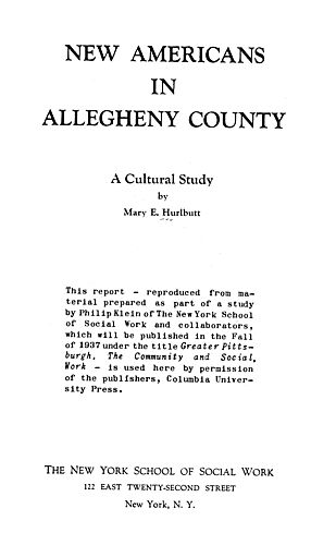 New Americans in Allegheny county