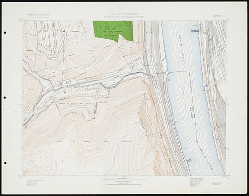 Sheet No. 31