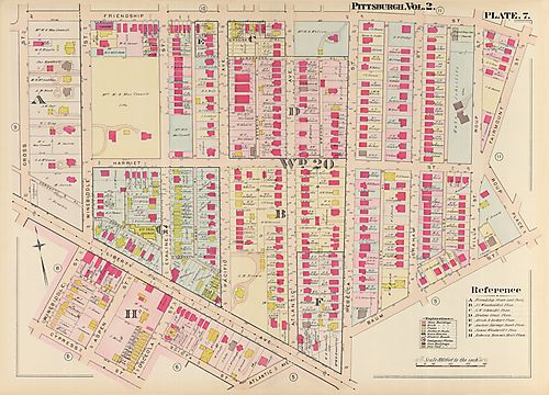 Bloomfield, Friendship