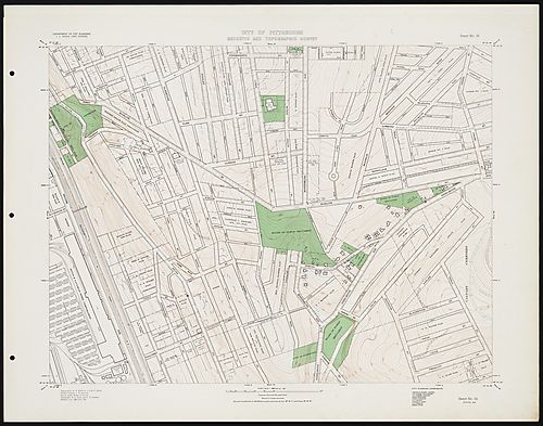Sheet No. 55