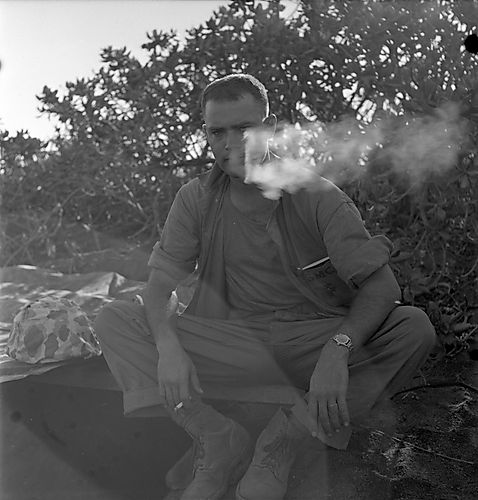 Portrait, Harold Corsini