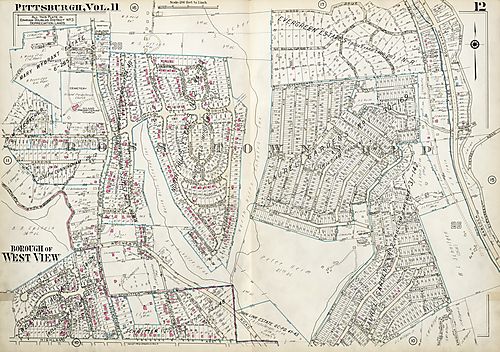 Ross, West View