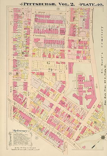 Central Lawrenceville, Bloomfield