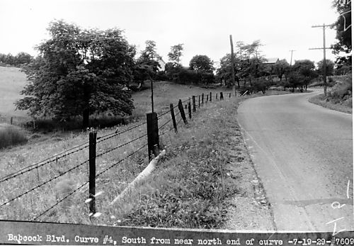 Babcock Boulevard Curve #4