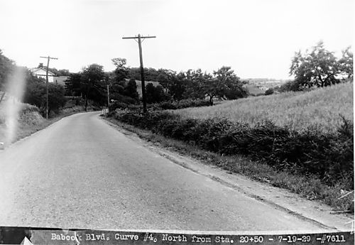 Babcock Boulevard Curve #4