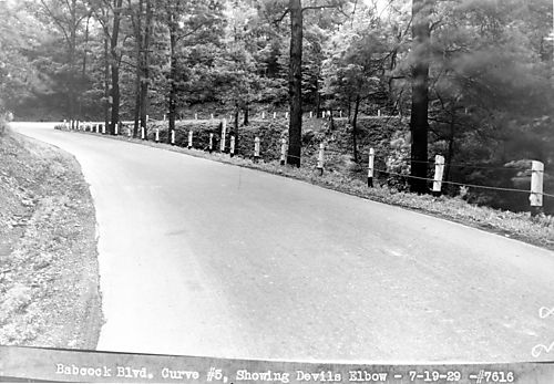 Babcock Boulevard Curve #5