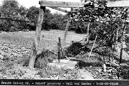 Scharf family garden on Brandt School Road