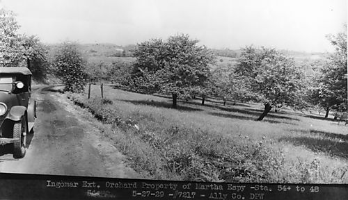 Espy (Espe) Orchard on Highland Road - Ingomar Road Extension 