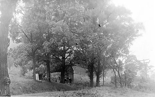 North Park Farms