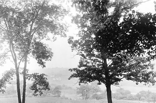 North Park Farms