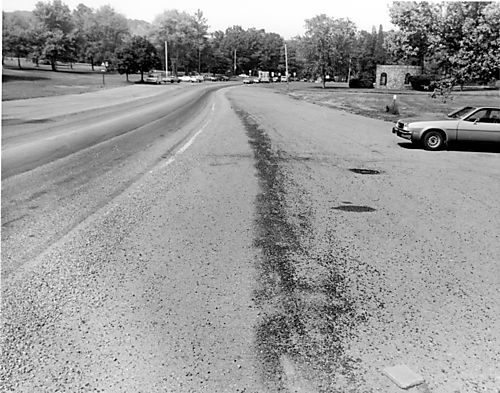 Wildwood Road near intersection with Babcock Boulevard