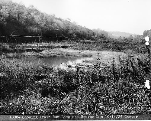 North Park - Irwin Run Lake and Beaver Dam