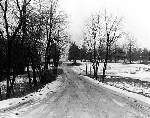 North Park