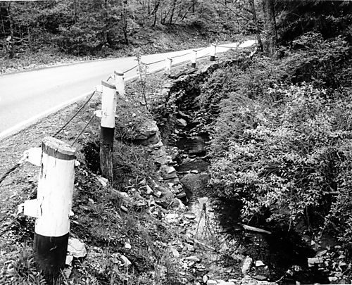 Thompson Run Road