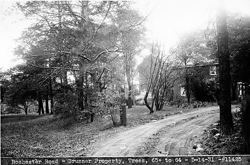 Rochester Road - Brunner Property