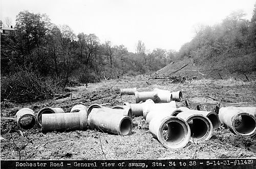 Rochester Road - General view of swamp