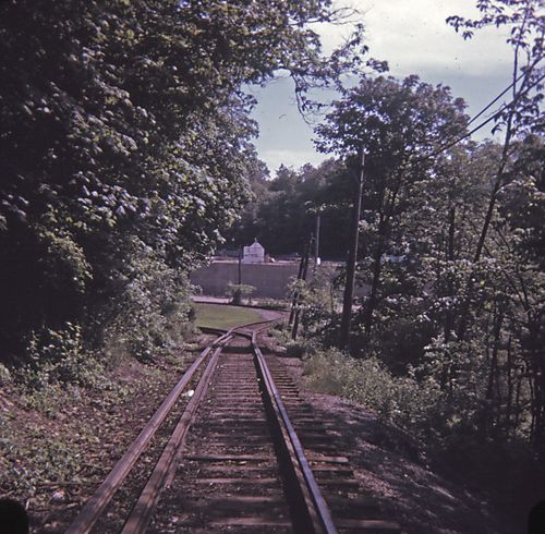 Looking Down to Drake