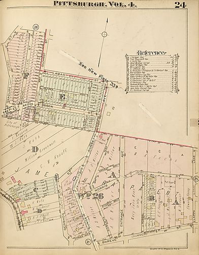 Spring Hill-City View