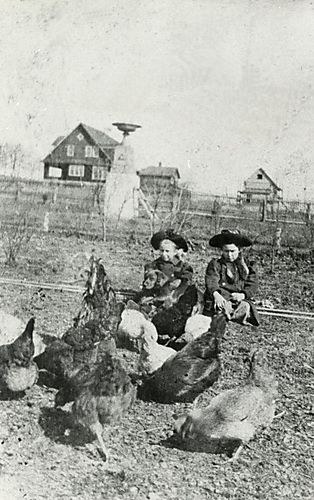 Children on Chicken Farm