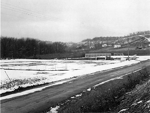 Vestal Field in Pine Creek 