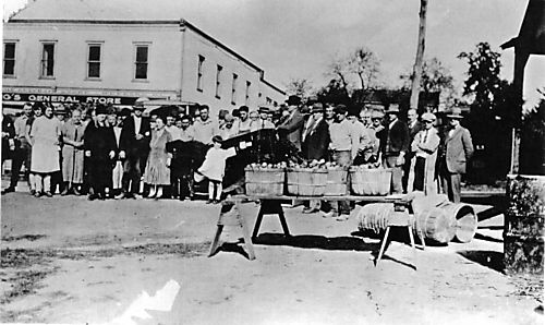 Wexford General Store