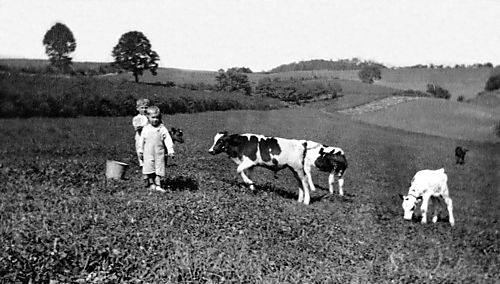 Hartman Farm