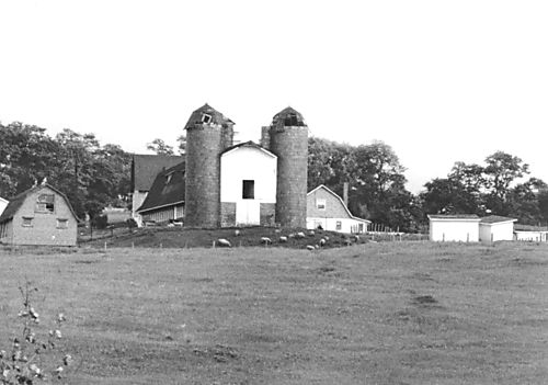 Bellwood Dairy