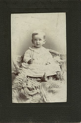 Portrait of a baby on a furry blanket
