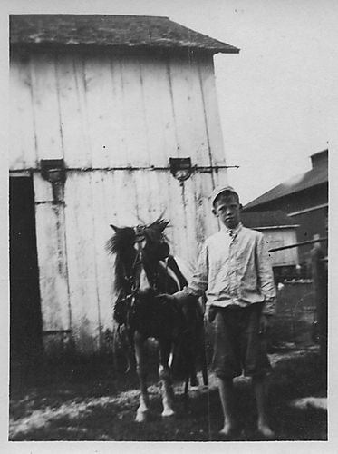 Alexander or John Gilfillan with a pony