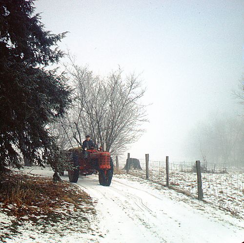 Frosty Morning: Alexander Gilfillan on a tractor