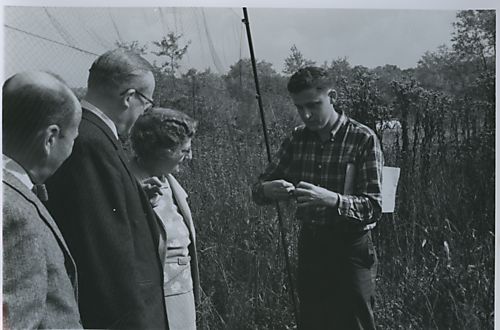 Bob Leberman removing bird from net