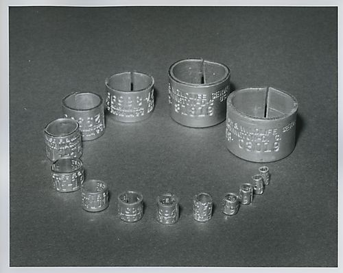 Assortment of bird bands at Carnegie Museum