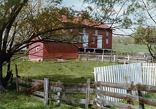 Big barn and pig barn on the Gilfillan farm