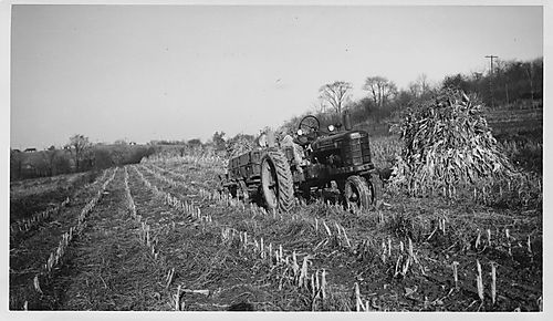 Farmall tractor at work on the Gilfillan farm