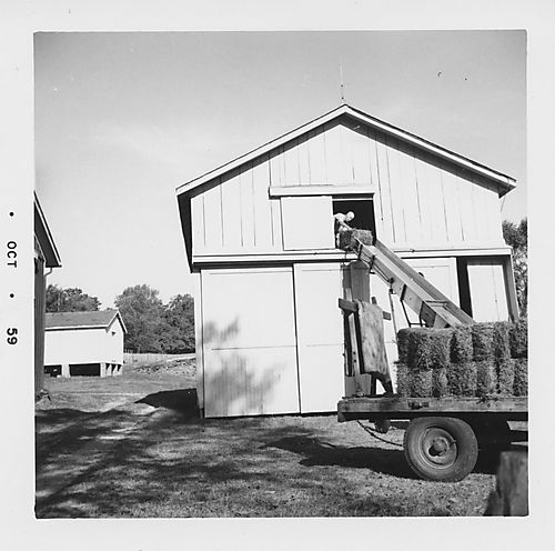 Tractor barn on the Gilfillan farm