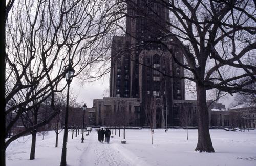 Walking in Winter