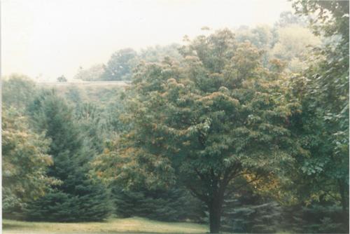 Joseph Belshock Property