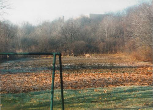 Joseph Belshock Property