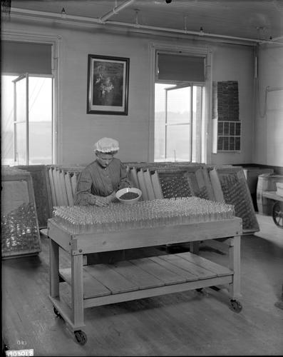 Bottling Department employee placing spices in bottles