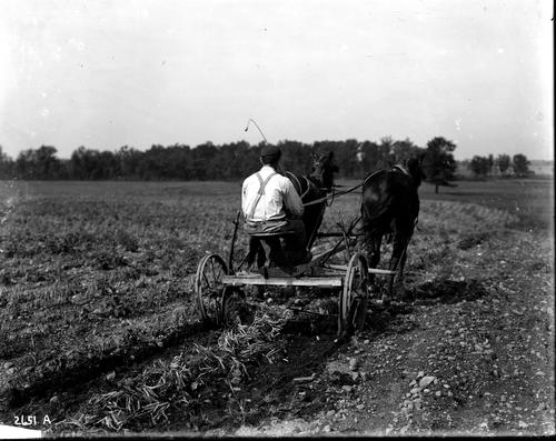 Man with Horse-Drawn Cart