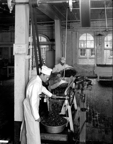 Washing Strawberries by Machine