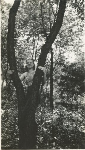 Outing at Devil's Elbow Grove, North Park
