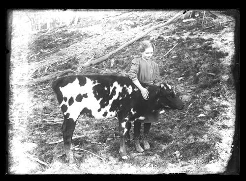 Girl and a Cow