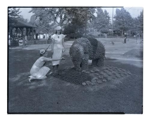 Elephant topiary sculpture (2)