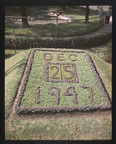 Floral calendar (4)