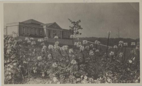 Flowers and school building
