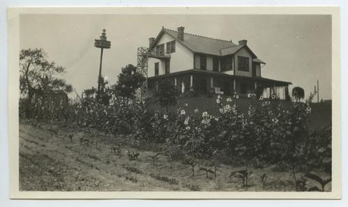 Crops and cottage